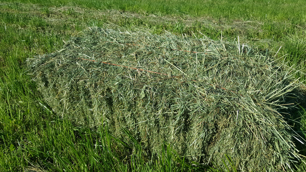 Hay Planting and Cutting
